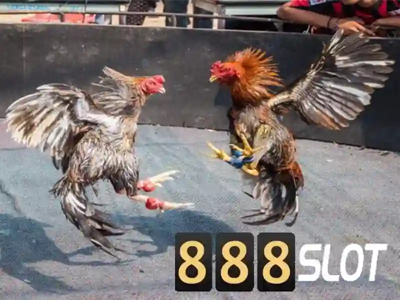 888slot: Trải nghiệm casino trực tuyến đáng tin cậy và phong phú Go88