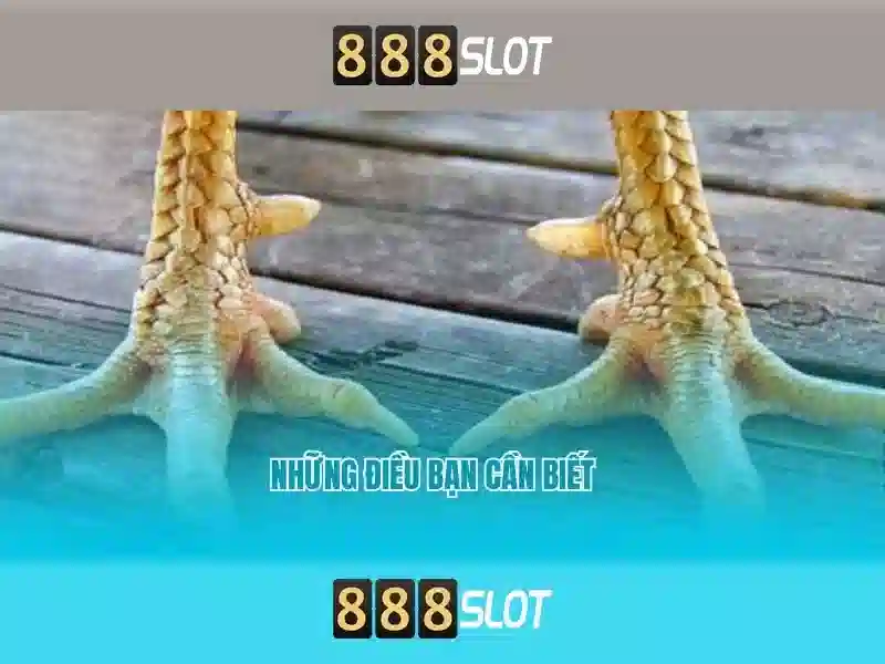 Hỗ trợ khách hàng