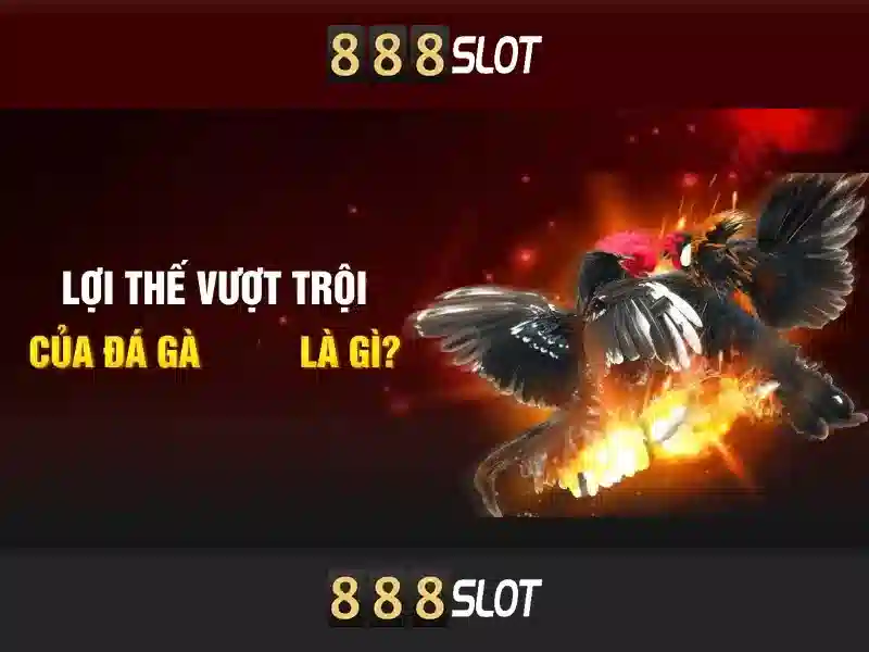 Trải nghiệm người dùng và giao diện\n\n