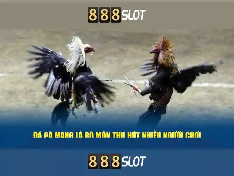 Hình thức nhận thưởng và khuyến mãi Hình thức nhận thưởng và khuyến mãi