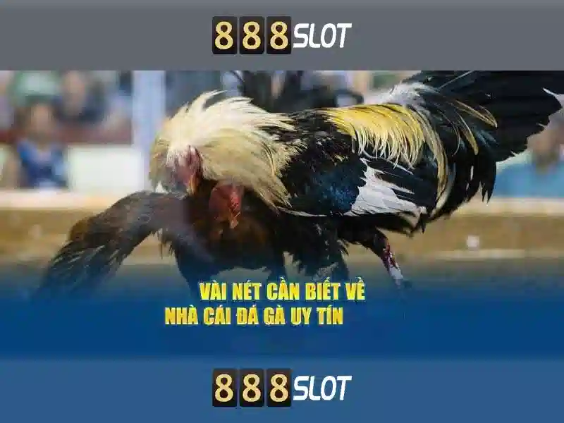 888Slot - Trải nghiệm slot trực tuyến đỉnh cao tại Việt Nam Go88