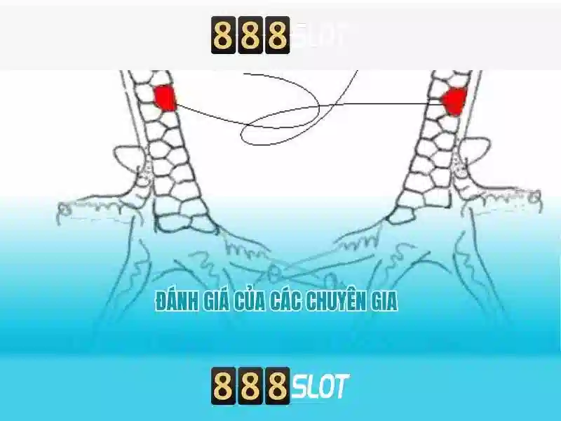An toàn thanh toán và hỗ trợ khách hàng