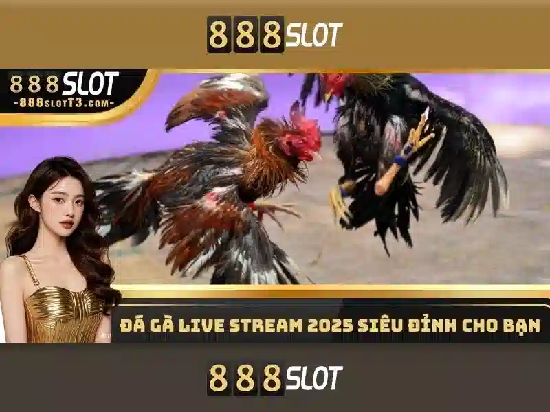An toàn và công bằng khi chơi tại 888slot\n An toàn và công bằng khi chơi tại 888slot\n