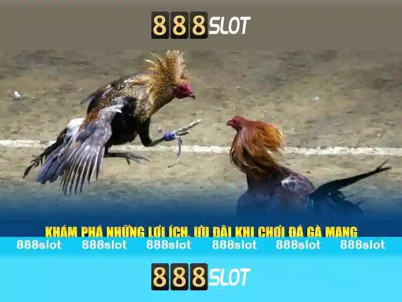 888slot - Đánh giá và Trải nghiệm Slot Trực tuyến Go88
