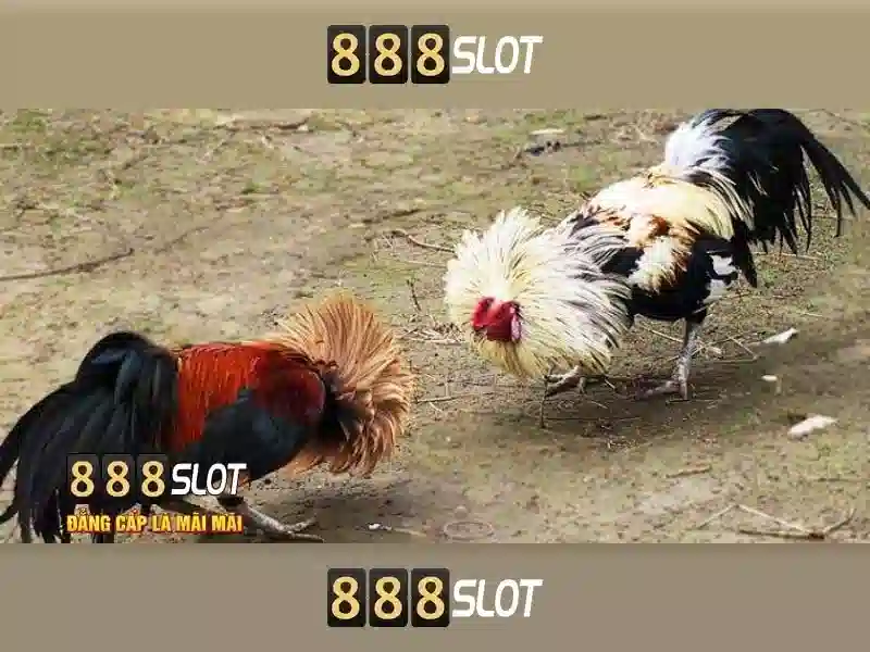 Giới thiệu về 888slot Giới thiệu về 888slot