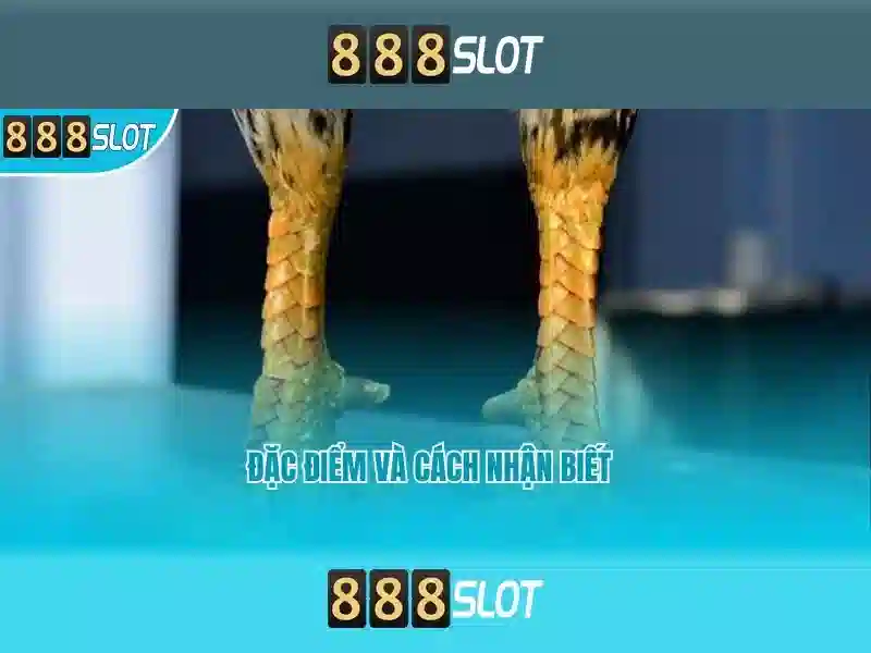 888slot - Đánh giá và hướng dẫn chơi slots trực tuyến Go88
