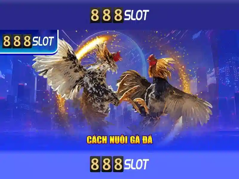 gg 888 slot là gì? Khái niệm và ứng dụng trên trang tin cược Việt 1 Đăng Nhập