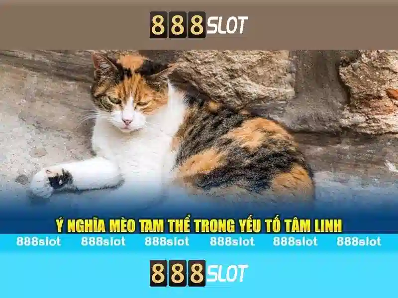 Soi kèo hiệp 1