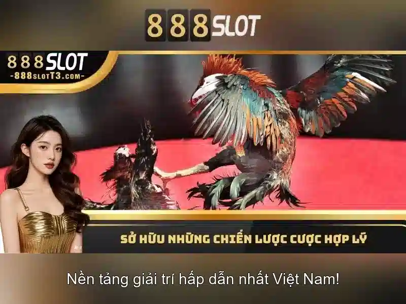 Trải nghiệm người dùng và di động Trải nghiệm người dùng và di động