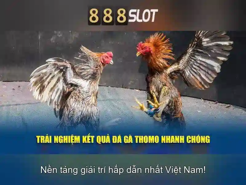 An toàn và thanh toán