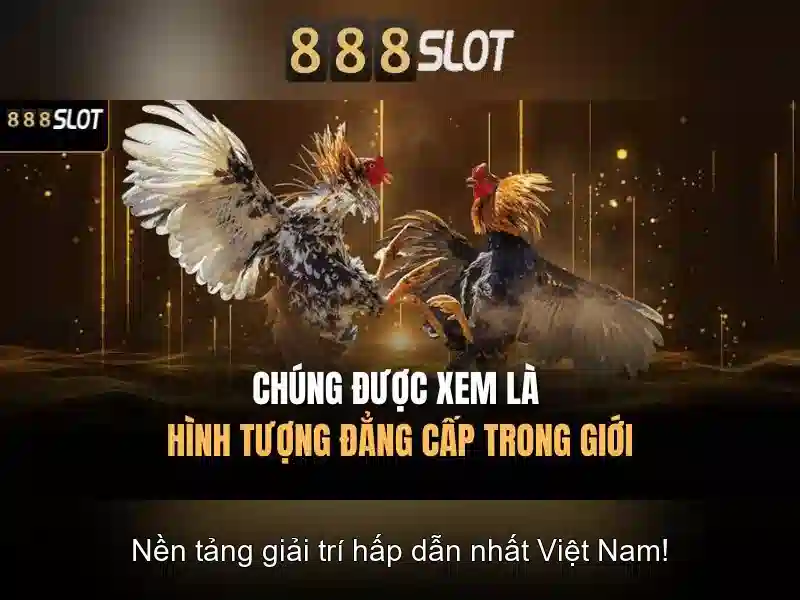 888slot - Trải nghiệm máy đánh bạc trực tuyến tuyệt vời 1 Đăng Nhập