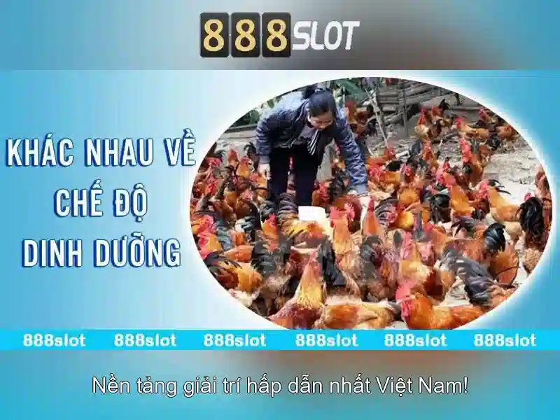 Bảo mật và thanh toán an toàn