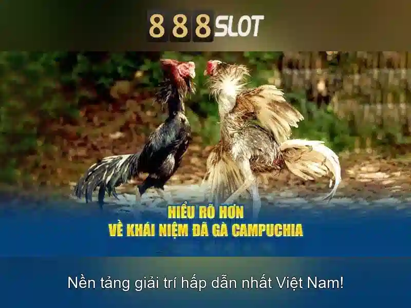 Bảo mật và thanh toán Bảo mật và thanh toán