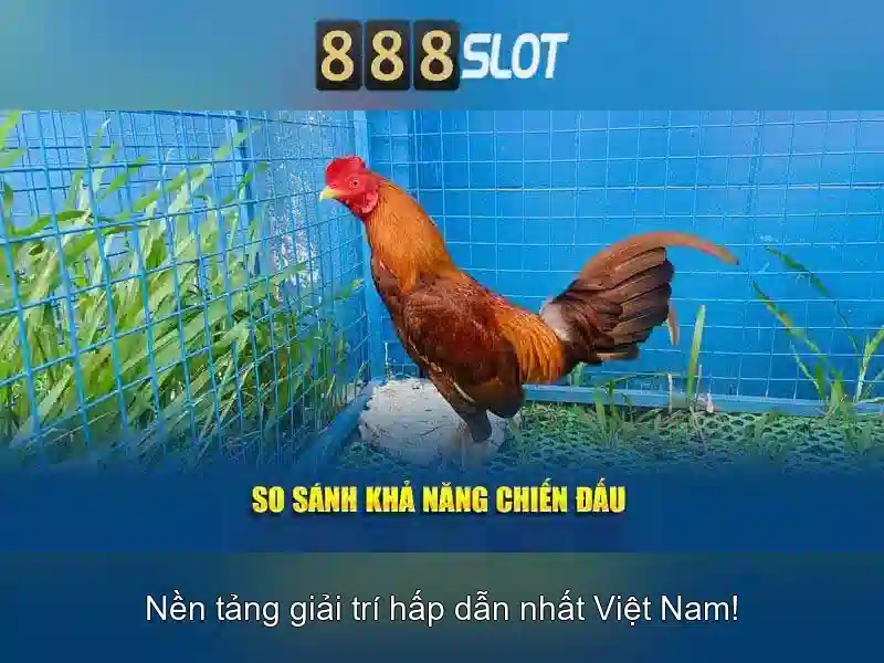 Trải nghiệm người dùng và hỗ trợ Trải nghiệm người dùng và hỗ trợ