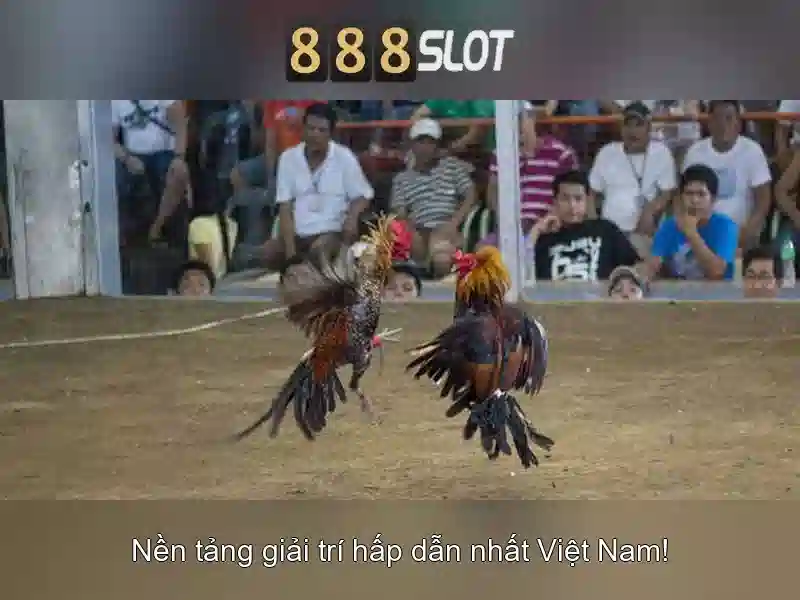 Giới thiệu về 888slot
